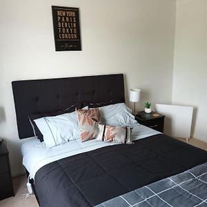 Glamping Tents